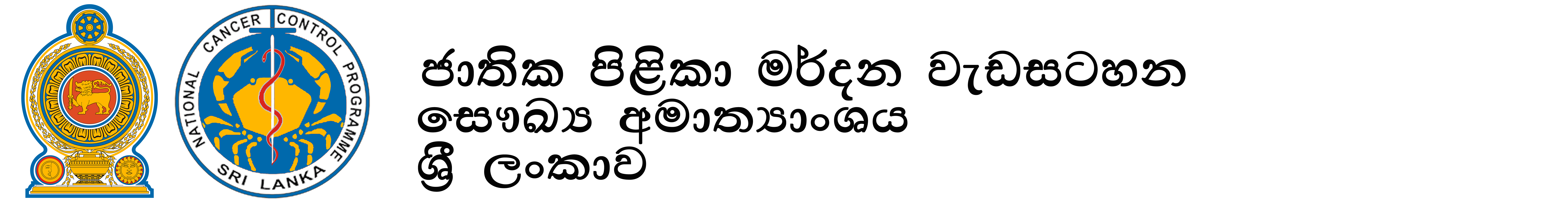  National Cancer Control Programme